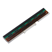Печатающая головка к EZ-DT4, DT4, G300, G500, RT700(i), 1100+, 1200+, EZPi-1200, 1100, 1105, 1200, 203 DPI Печатающая головка к EZ-DT4, DT4, G300, G500, RT700(i), 1100+, 1200+, EZPi-1200, 1100, 1105, 1200, 203 DPI