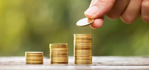 Золотые монеты Золотые монеты